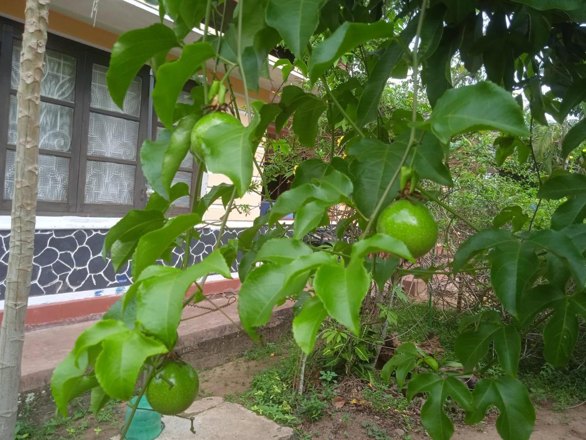 Sanaya Homestay Tangalle Bagian luar foto